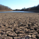 Image for article titled What Will California's Drought Do To Our Food Supply?